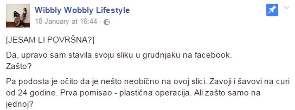 blogerica 2