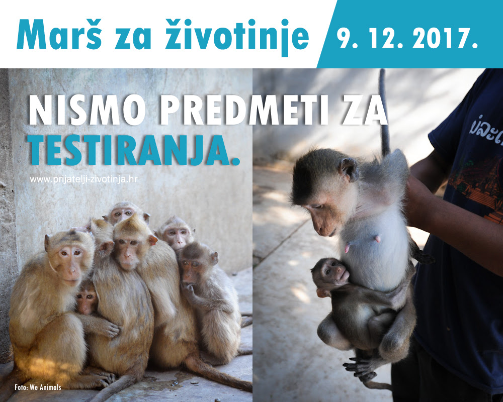 Prijatelji zivotinja 2