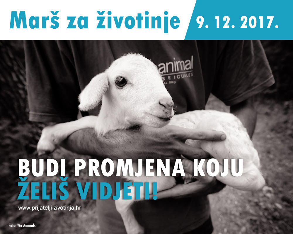 Prijatelji zivotinja 3
