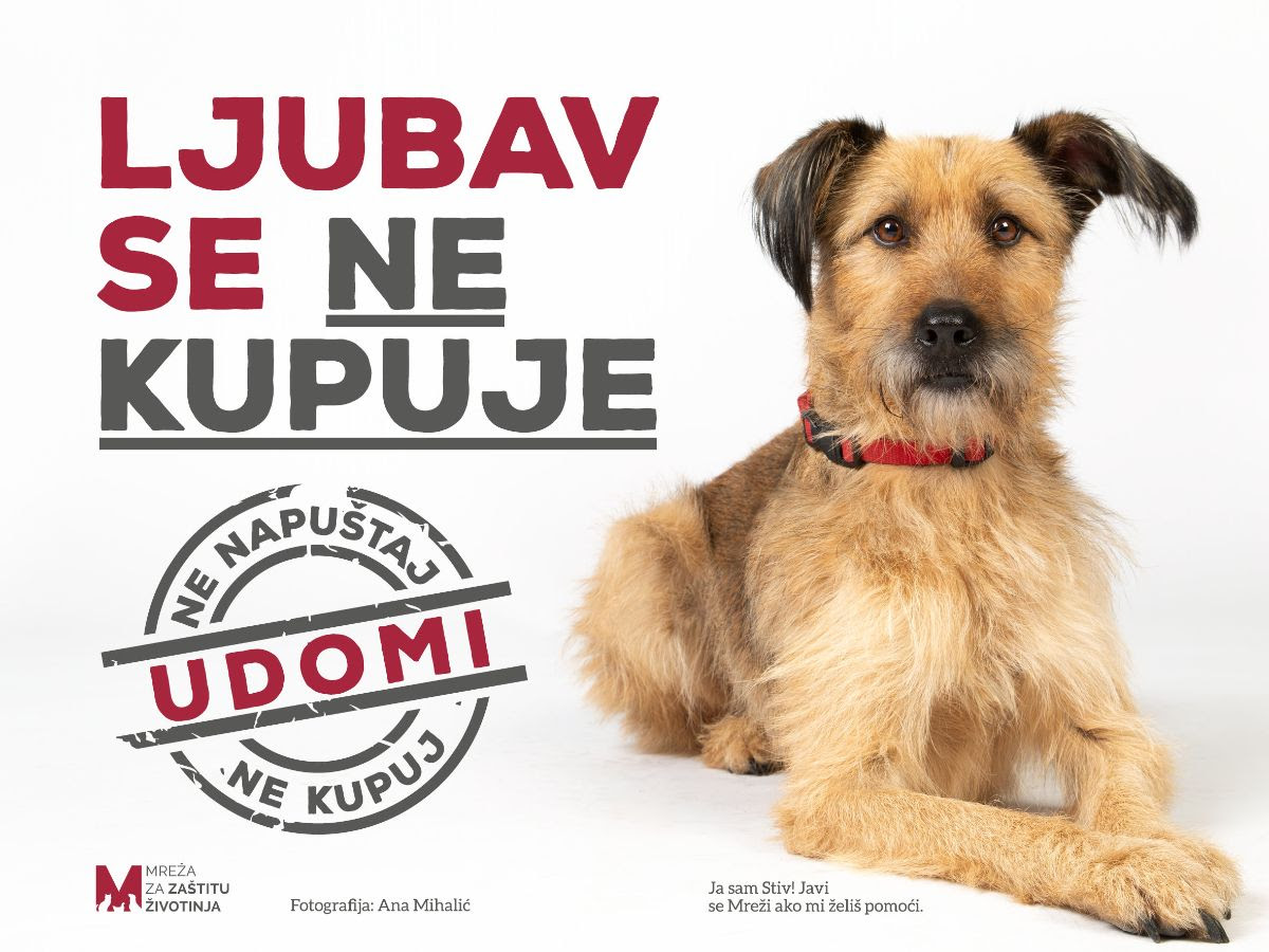 Prijatelji zivotinja 7