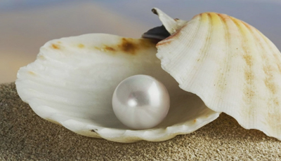 PEARL 4