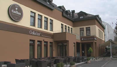 Gallus 12