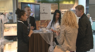Gallus 13